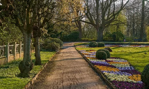 Reinigungsservice in Delmenhorst
